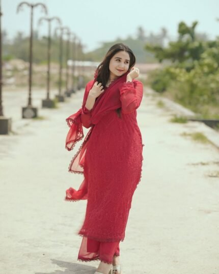 Chikankari red suit - 3002